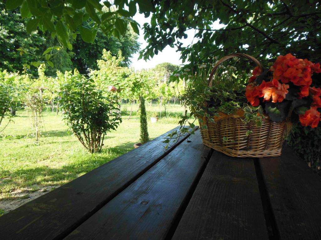 Al Pic De Corone Bed and Breakfast Terzo d' Aquileia Εξωτερικό φωτογραφία