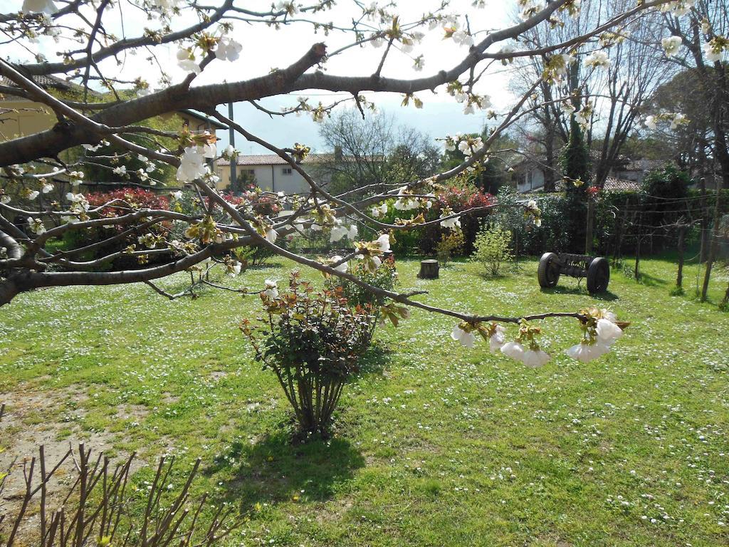 Al Pic De Corone Bed and Breakfast Terzo d' Aquileia Εξωτερικό φωτογραφία