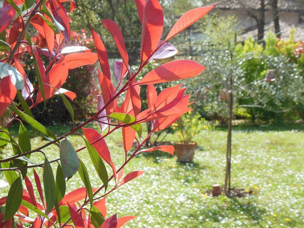 Al Pic De Corone Bed and Breakfast Terzo d' Aquileia Εξωτερικό φωτογραφία