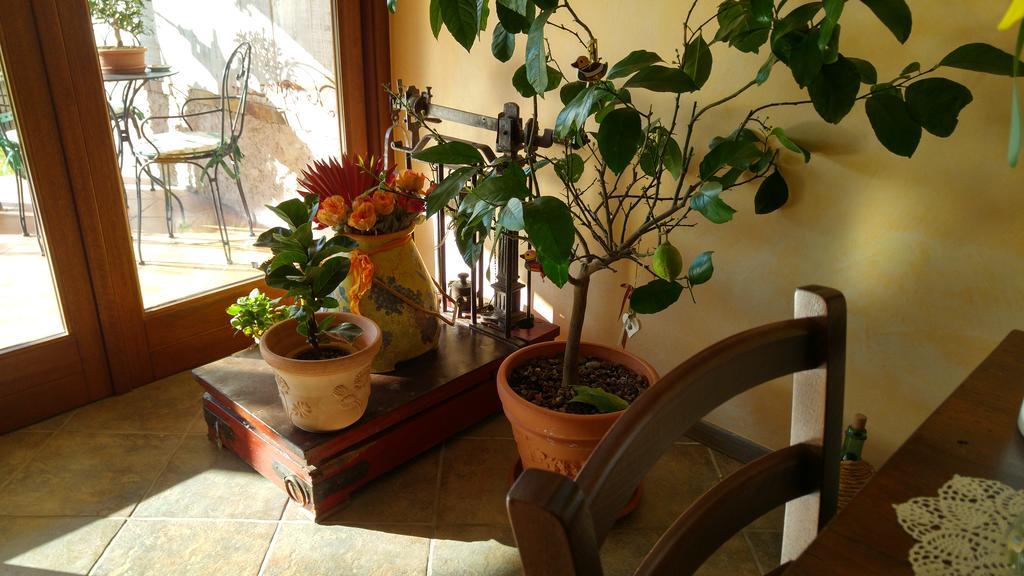 Al Pic De Corone Bed and Breakfast Terzo d' Aquileia Εξωτερικό φωτογραφία