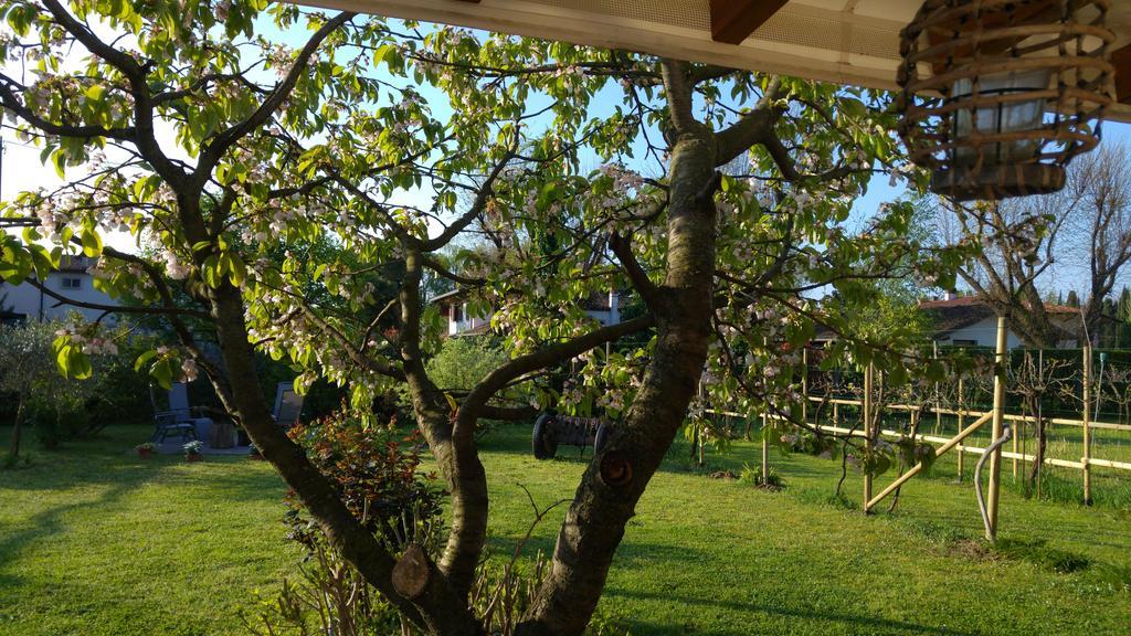 Al Pic De Corone Bed and Breakfast Terzo d' Aquileia Εξωτερικό φωτογραφία