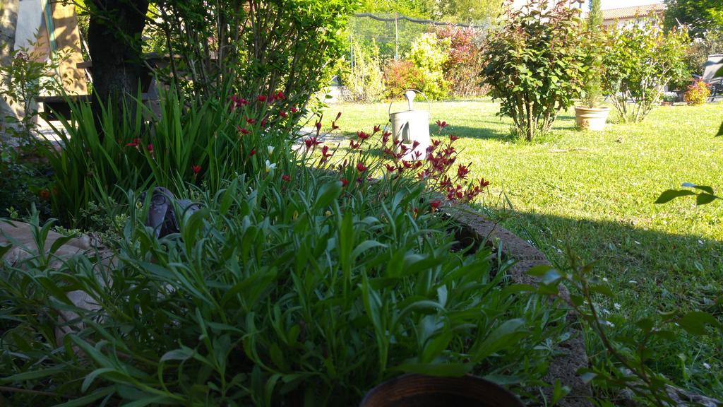 Al Pic De Corone Bed and Breakfast Terzo d' Aquileia Εξωτερικό φωτογραφία