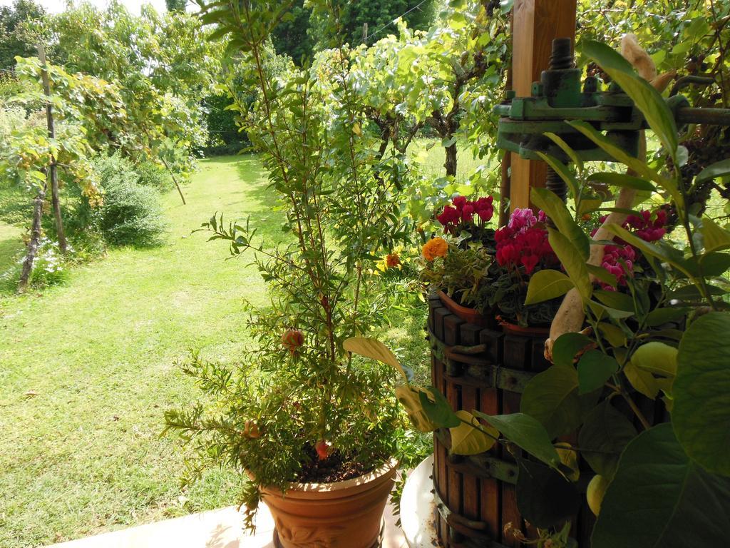Al Pic De Corone Bed and Breakfast Terzo d' Aquileia Εξωτερικό φωτογραφία
