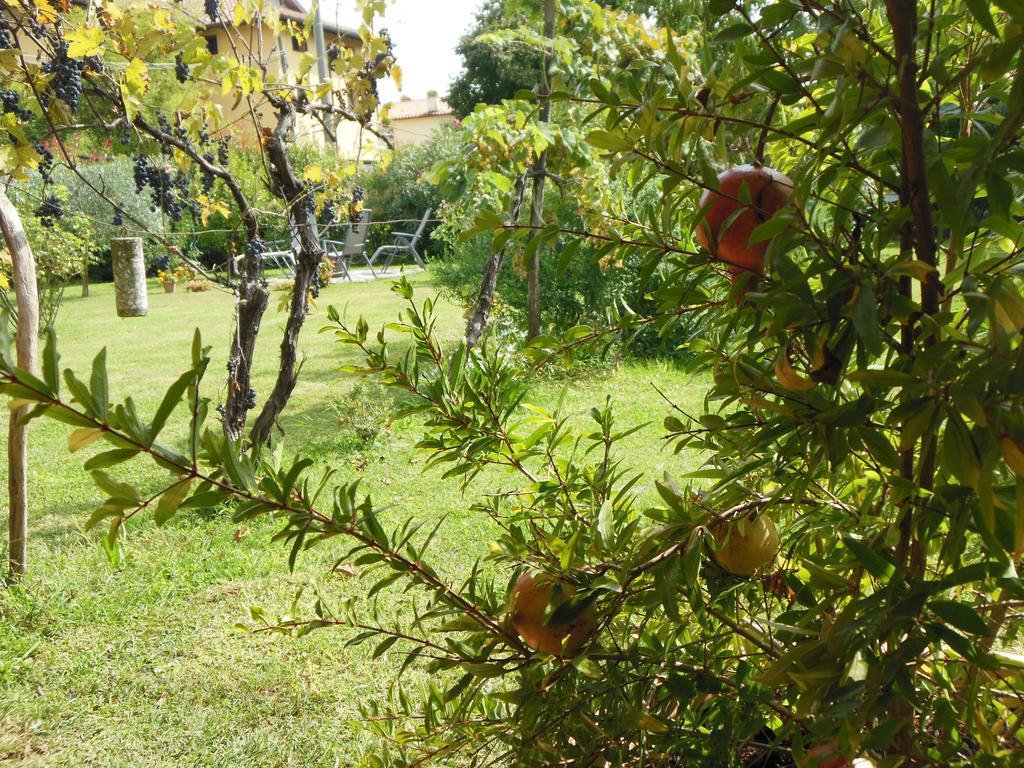 Al Pic De Corone Bed and Breakfast Terzo d' Aquileia Εξωτερικό φωτογραφία